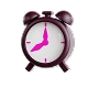 Clock icon representing EVAA AI works 24/7